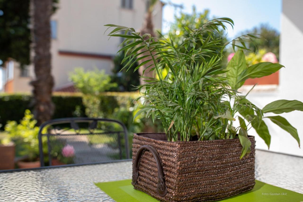 Apartman Luka Rovinj Buitenkant foto